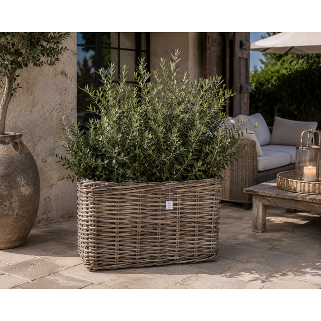 Sweet Living Rotan Plantenmand Rechthoek - Plantenbak - Grey