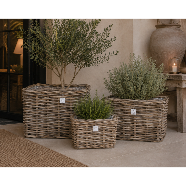 Sweet Living Rotan Plantenmand Rechthoek - Plantenbak - Grey