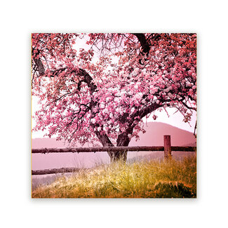 Sweet Living Schilderij Bloesem - Vierkant