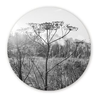 Sweet Living Wandcirkel Droogplanten Winterzon - Zwart Wit