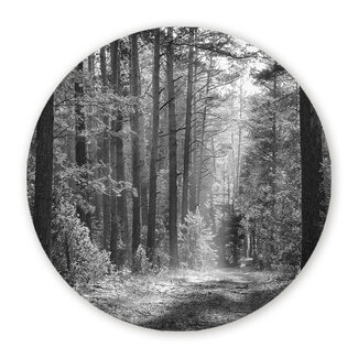 Sweet Living Wandcirkel Herfstbos in Ochtendgloren - Zwart Wit
