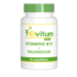 Elvitum Vitamine B12 1000 mcg 90 zuigtabletten