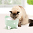 Cat it Pixi drinkfontein 2 Liter