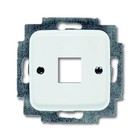 Busch-Jaeger Centraalplaat t.b.v. Modular Jack connector