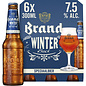 Brand bier sixpack Winterbock