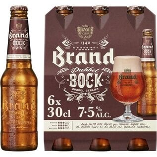 Brand bier sixpack Dubbelbock