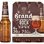 Brand bier sixpack Dubbelbock