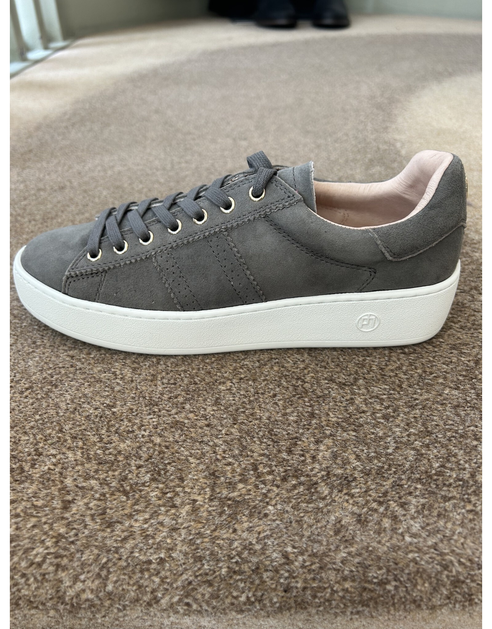 Philip Hog Serena Grey Trainer