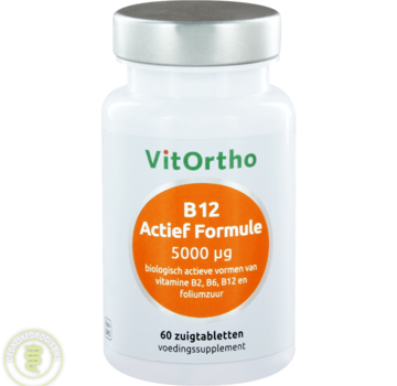 VitOrtho Vithortho B12 Actief Formule 5000 µg 60 zuigtabletten