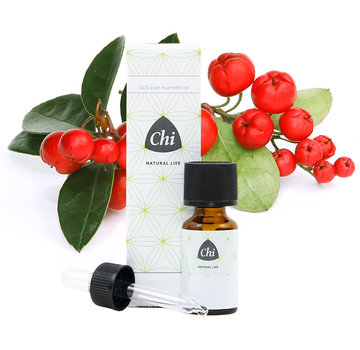 Chi Chi Wintergreen etherische olie, Wild 10 ml