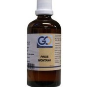 GO GO Pinus Montana 100 ml