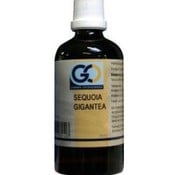 Go Go Sequoia Gigantea 100 ml