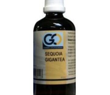GO GO Sequoia Gigantea 100 ml