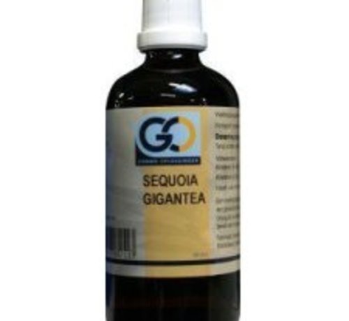 Go Go Sequoia Gigantea 100 ml