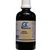 GO GO Cornus Sanguinea 100 ml