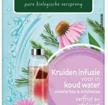 Piramide Piramide Kruiden infusie voor in koud water zwarte bes & echinacea