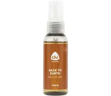 Chi Chi Back to Earth Airspray 50 ml