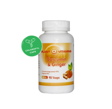 Plant O'Vitamins - Signed by nature Curcumin & Ginger 90 capsules Plantovitamins