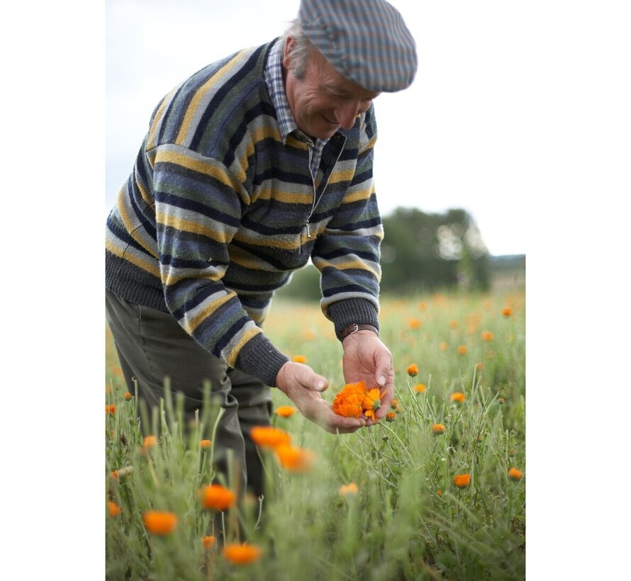 Sonnentor Goudsbloem thee los bio 50 gr