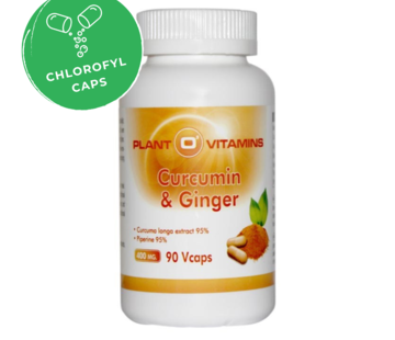 Plant O'Vitamins - Signed by nature Plant O'Vitamins Curcumin & Ginger 90 capsules
