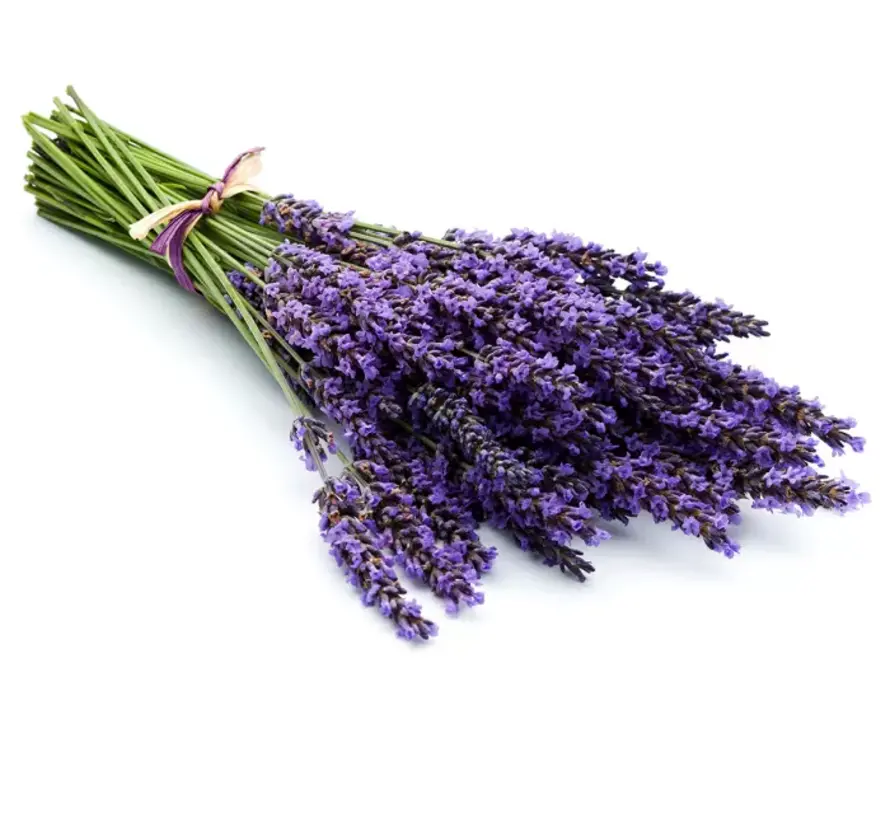 Chi Natural Life  lavendelolie bio, Bulgarije 10 ml