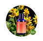 Oshadhi Arnica 10% in Olijfolie bio 30 ml