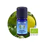 Oshadhi Bergamot olie bio 5 ml
