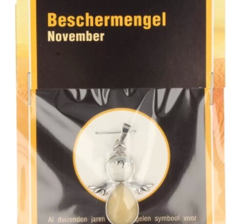 Ruben Robijn Ruben Robijn Beschermengel November