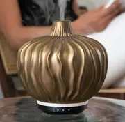 Chi Natural Life  Chi Clove Aroma Diffuser