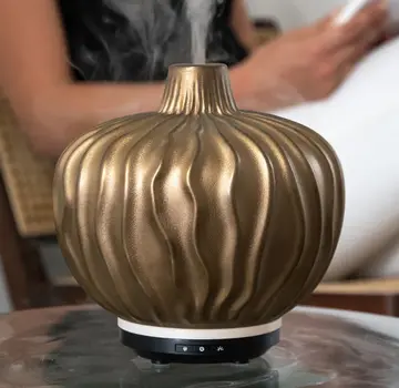 Chi Natural Life  Chi Clove Aroma Diffuser