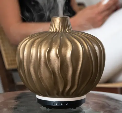 Chi Natural Life  Chi Clove Aroma Diffuser