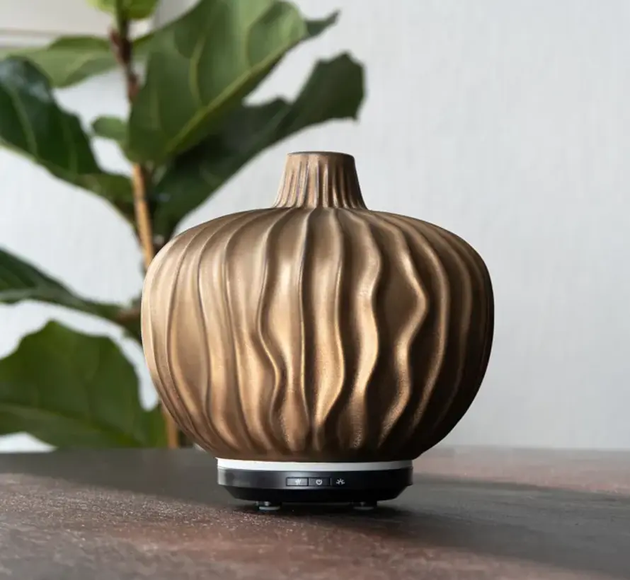 Chi Clove Aroma Diffuser