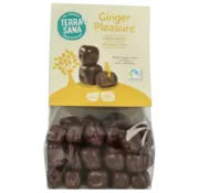 Terrasana Terrasana Ginger Pleasure 150 gram
