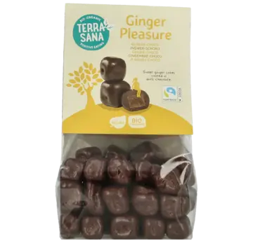 Terrasana Terrasana Ginger Pleasure 150 gram