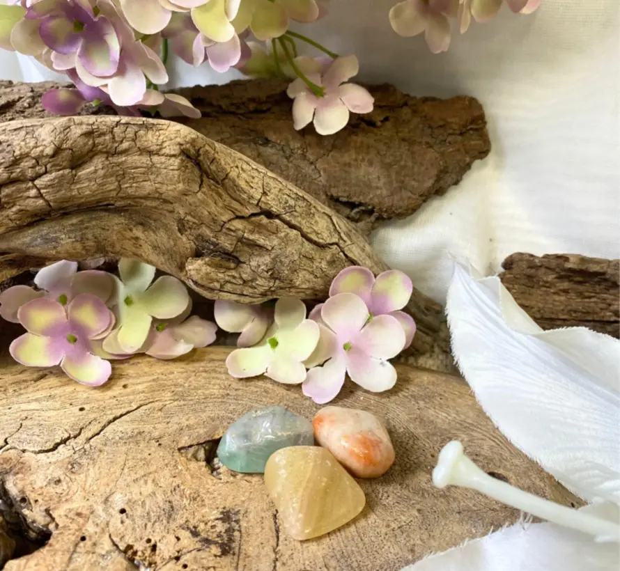 Ruben Robijn Buideltje Positieve Energie