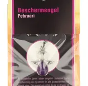 Ruben Robijn Ruben Robijn Beschermengel Februari