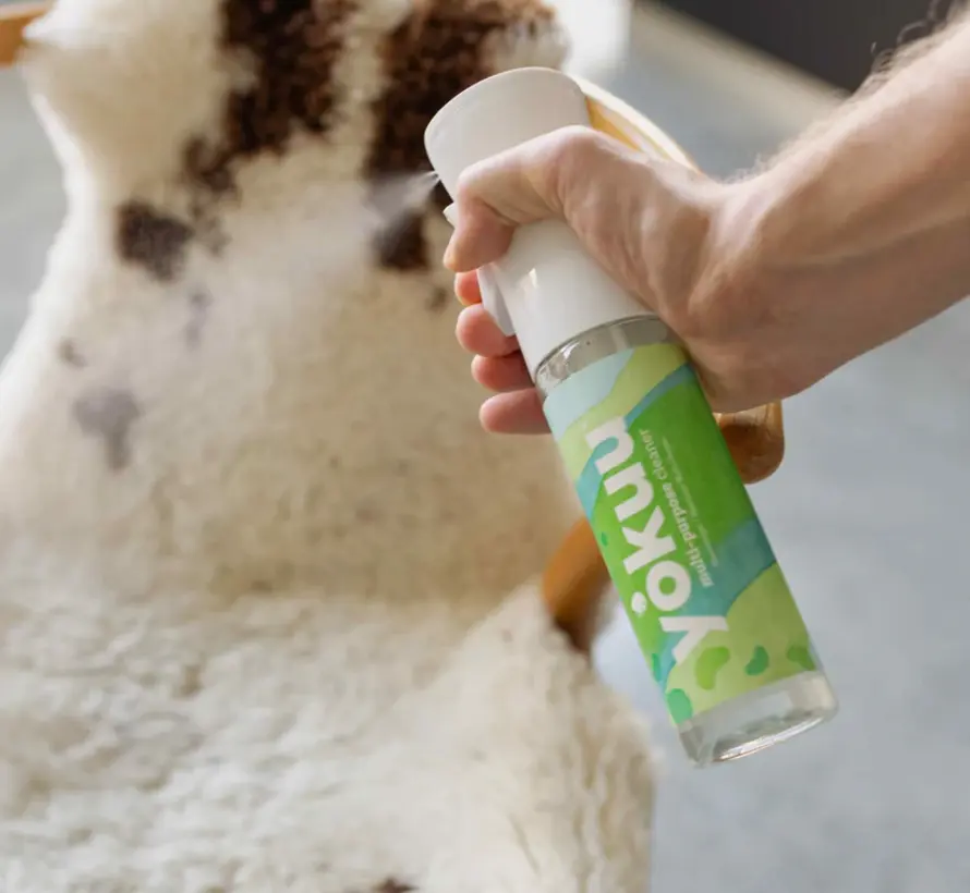 Yokuu Allesreiniger starter kit Fresh Summer Breeze