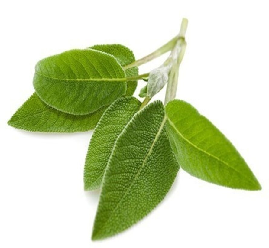 De Groene Linde Salie Spray 100 ml