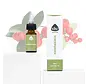 Chi Wintergreen etherische olie, Wild 10 ml