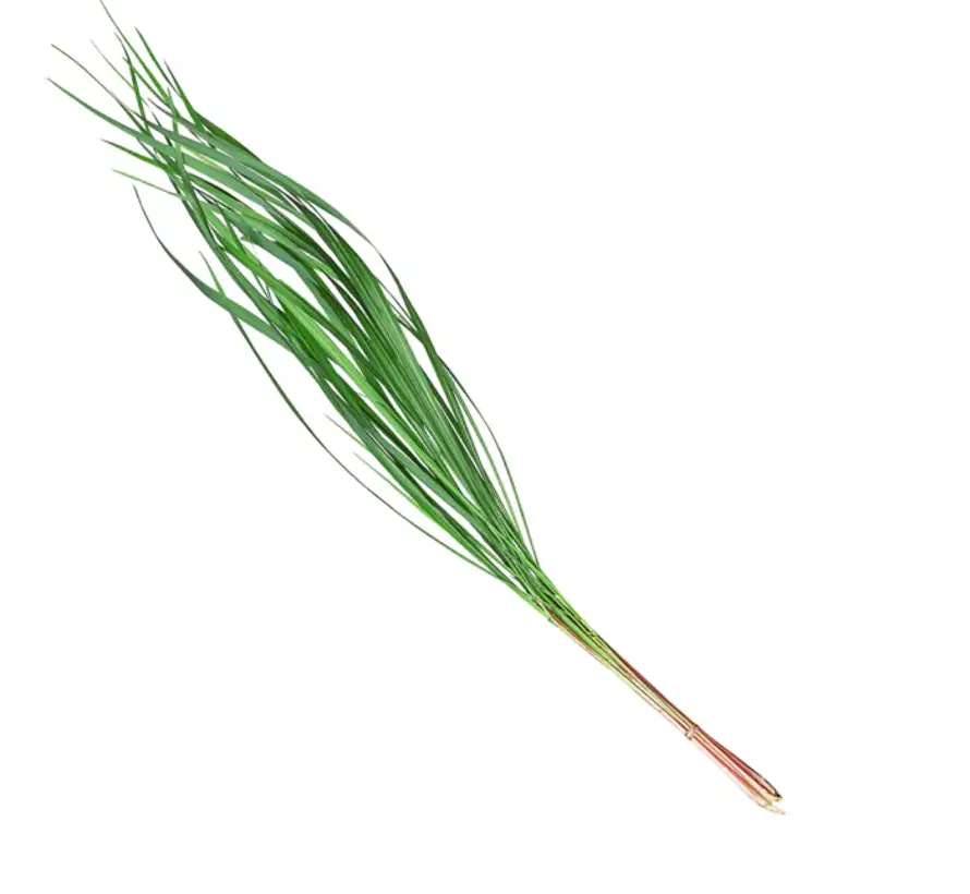 Chi Natural Life Citronella, bio 10 ml
