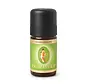 Primavera Eucalyptus globulus BIO 5 ml