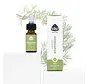 Chi Natural Life Rozemarijn kamfer etherische olie, bio, 10 ml