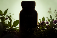 Er gaat iets veranderen bij Plant O'Vitamins...
