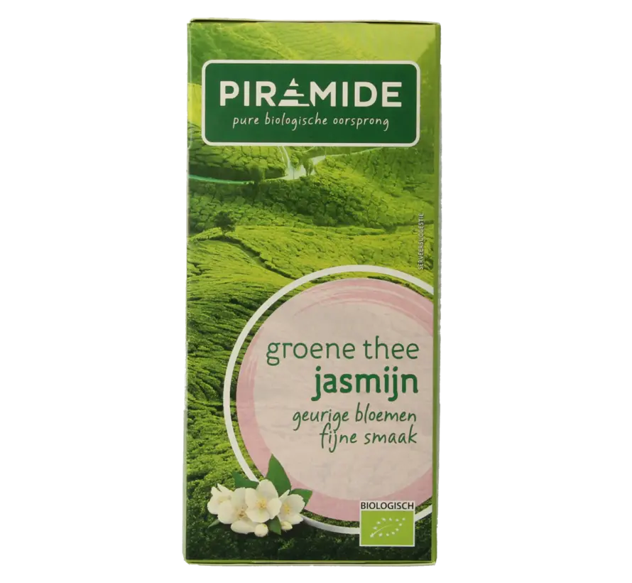 Piramide groene thee jasmijn
