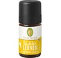 Primavera Kids Beter Leren blend 5 ml