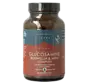 Terranova Glucosamine Boswellia & MSM complex 100 capsules