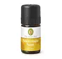 Primavera Summer Sun blend 5 ml