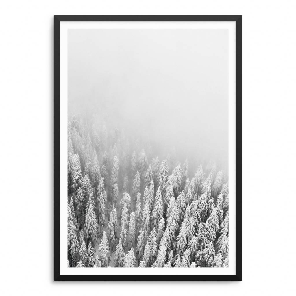 Lovely Bird Forest No. 1 Poster