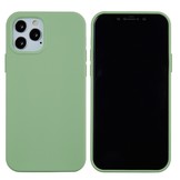 iPhone 13 Pro Softcase Backcover hoes Mintgroen