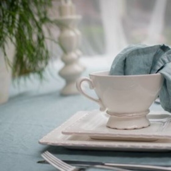 Maxime tablecloth and napkin  sale 25 %